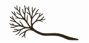Branch Consulting branch and tree symbol