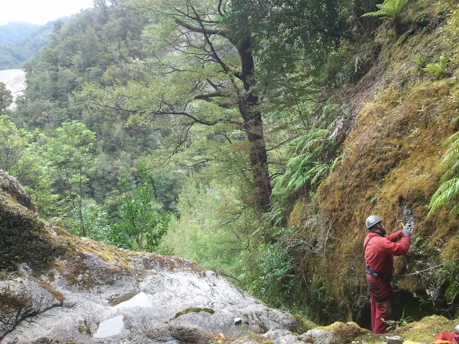Geologist examining exposed rock beside a stream in steep forest terrain