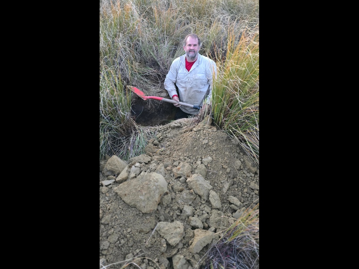 Hamish McLauchlan recovering a soil-sampling auger in Central Otago