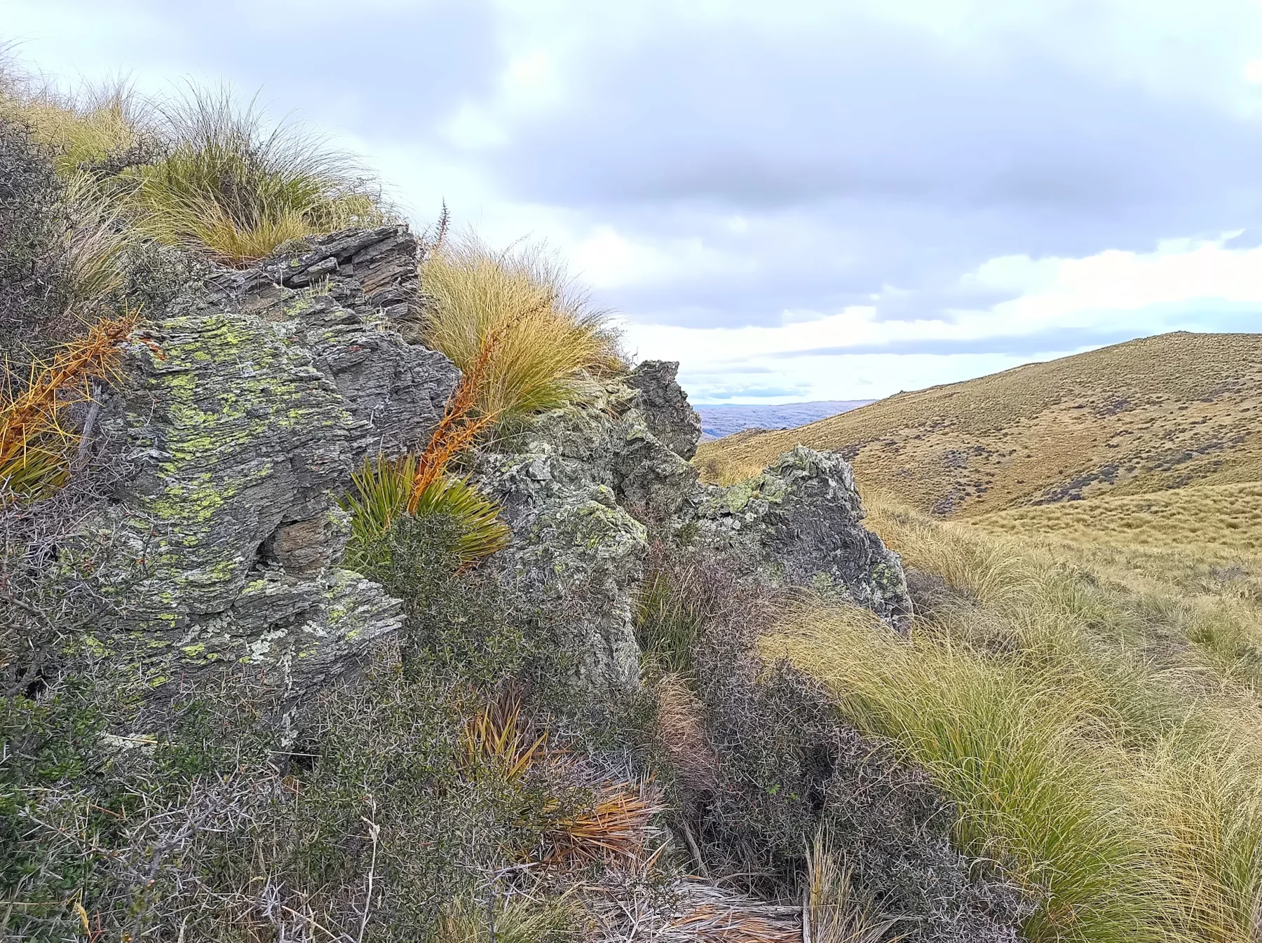Chevron-folded schist at Capburn, Otago
