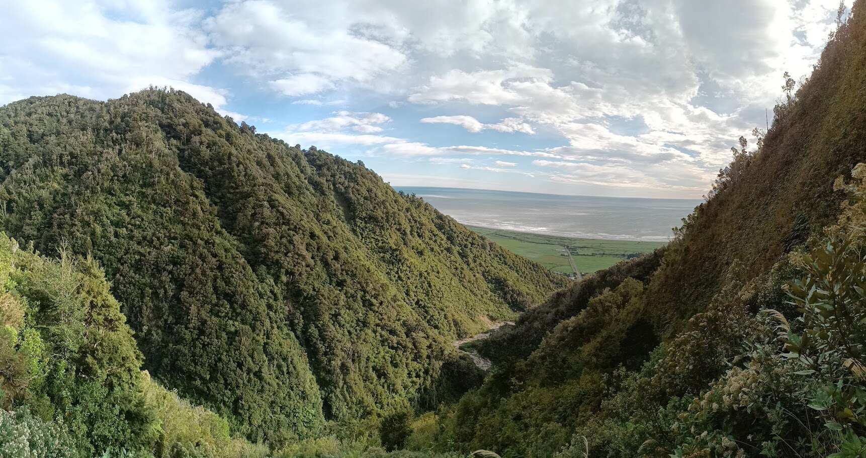 West Coast mountain and forest terrain near the Tasman Sea