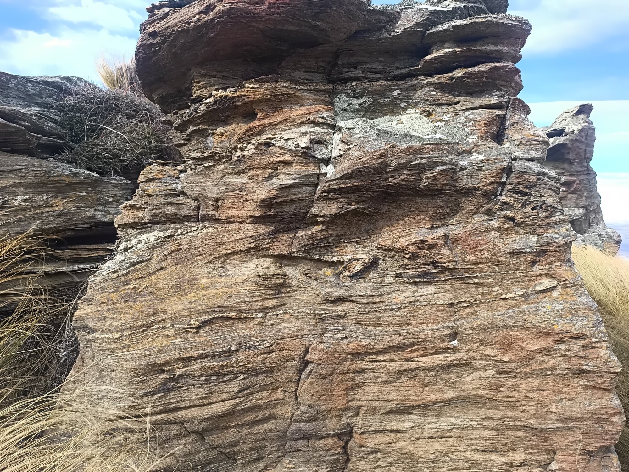 Folded and veined schist exposure used in geological interpretation