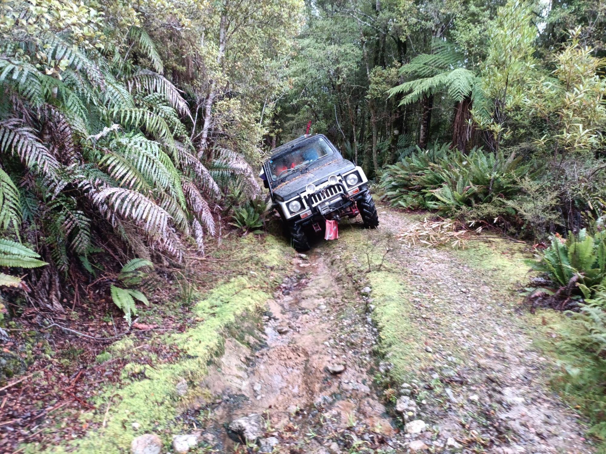 Four-wheel-drive field access through forest terrain during exploration