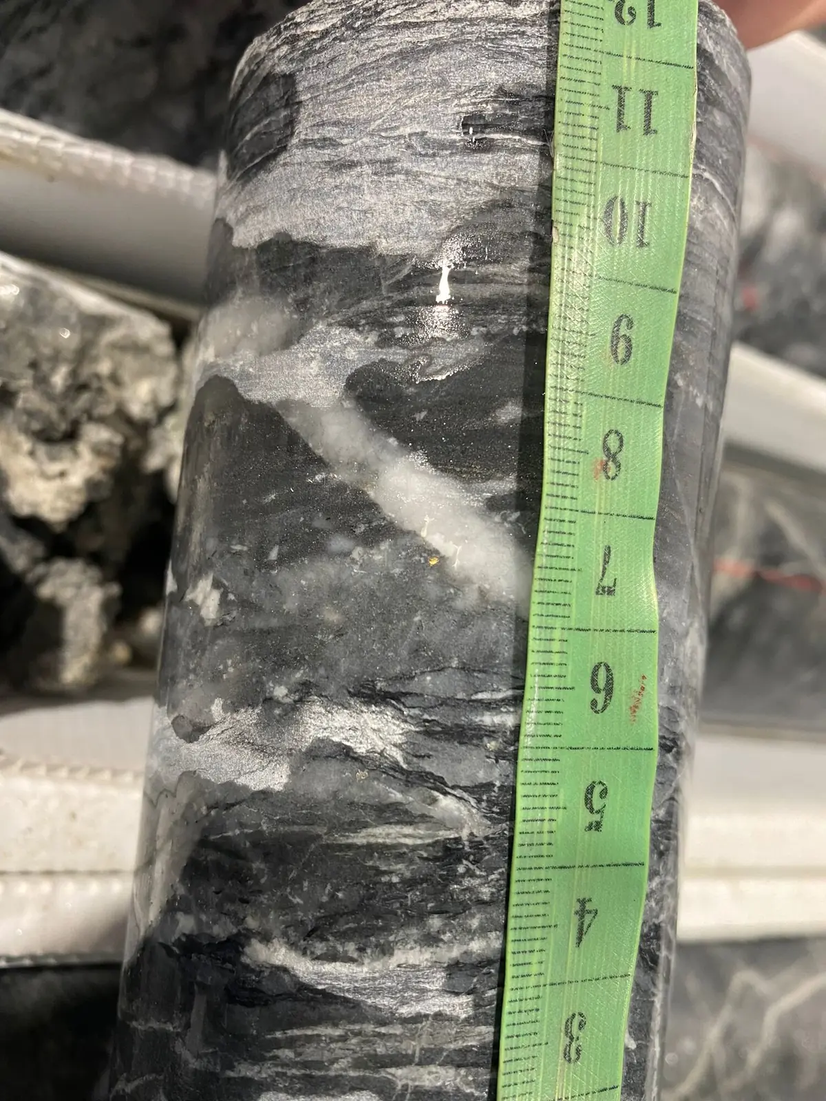 Visible gold associated with quartz veining in drill core