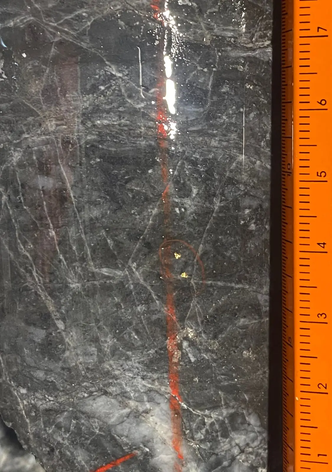 Visible gold in a Central Otago drill core sample