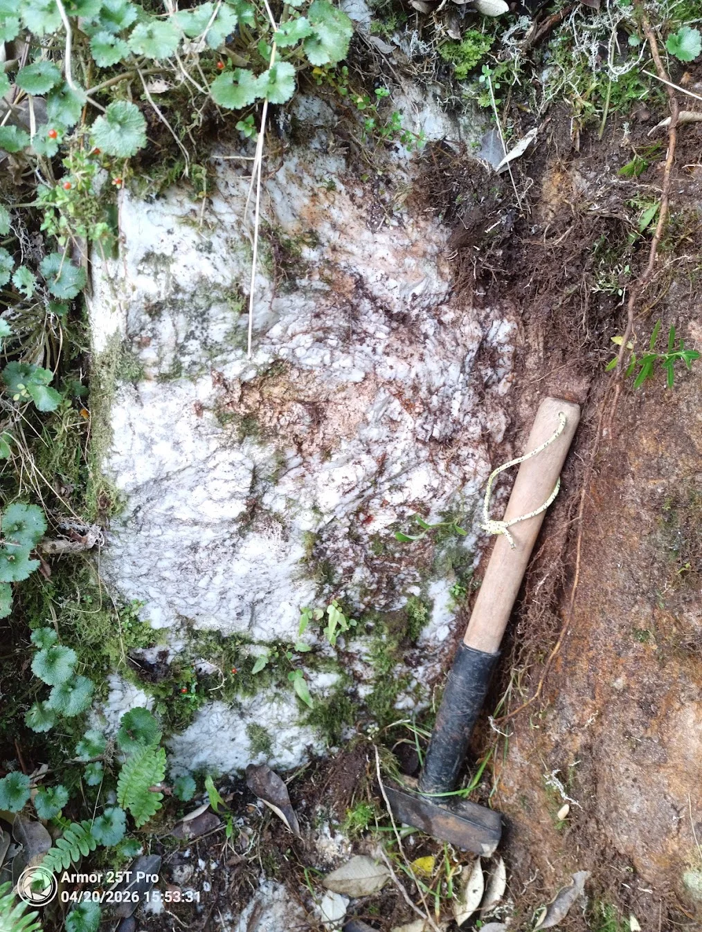 Quartz-scheelite vein in Barrytown Granite on the West Coast of New Zealand