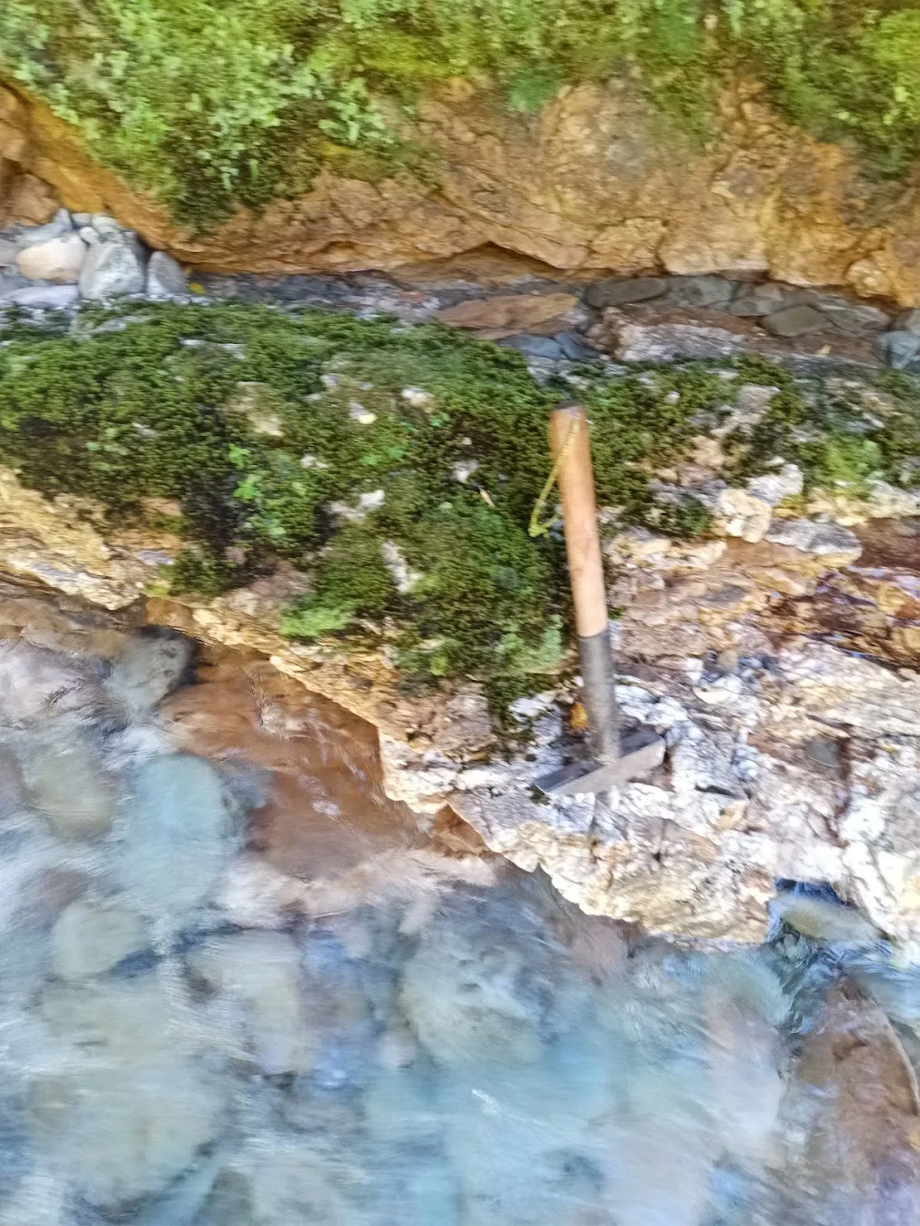 Quartz vein at Croesus on the West Coast of New Zealand