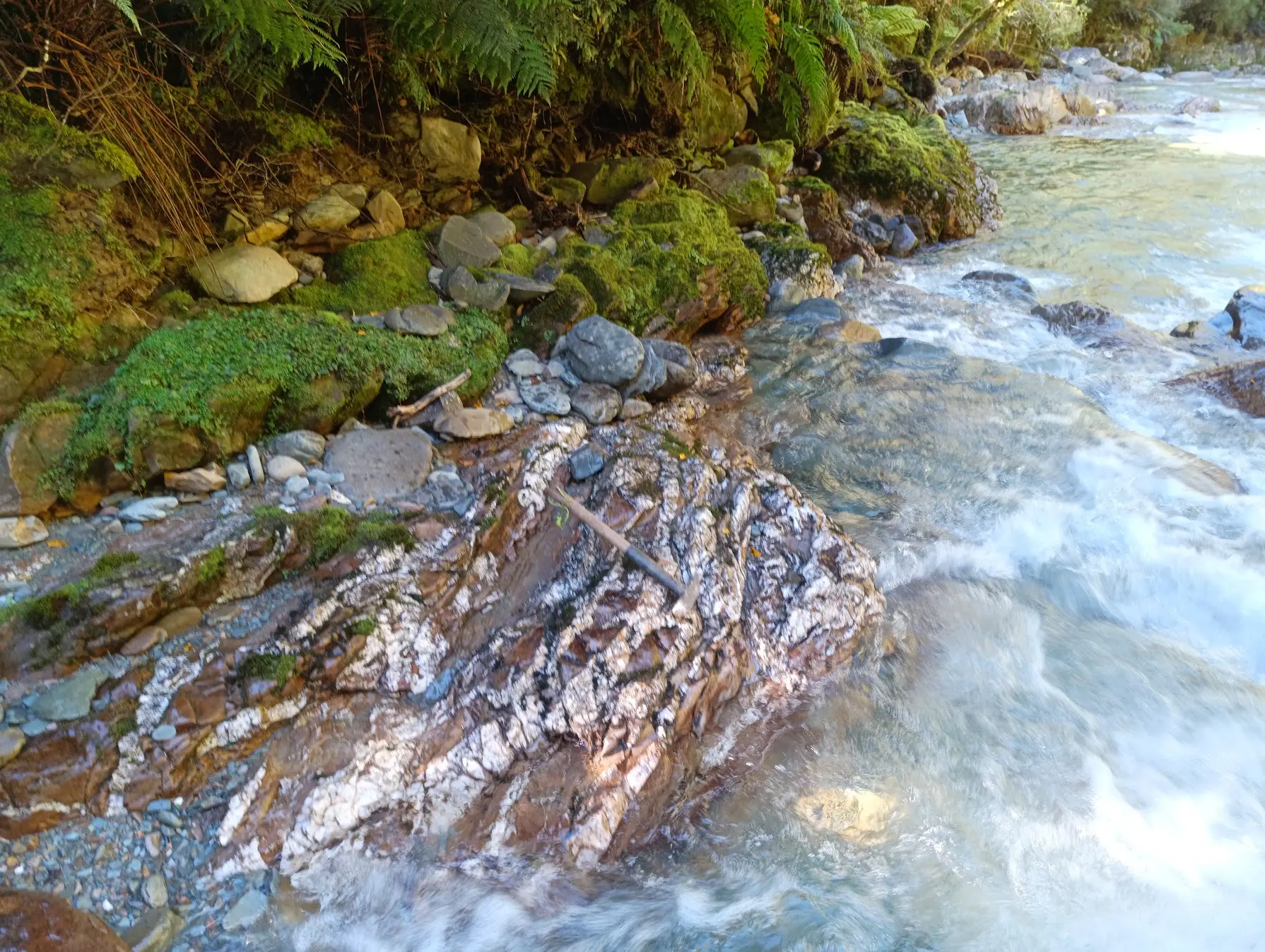 West Coast mineralised quartz-carbonate veining