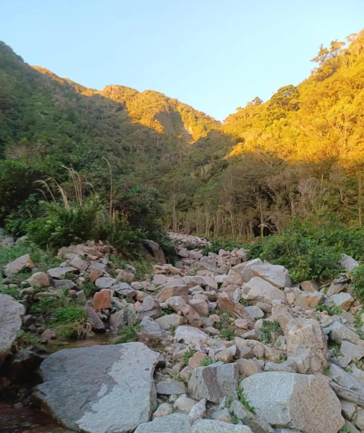 Mapping and sampling, West Coast stream